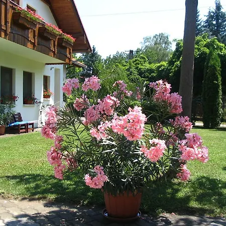 Sommer Panzió 2*