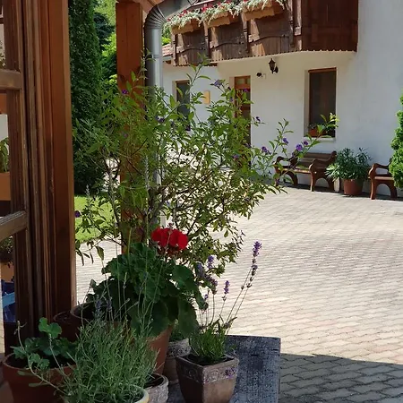 Sommer Panzio Bed & Breakfast 3*