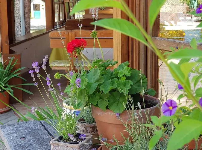 Bed & Breakfast Sommer Panzio